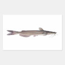 Search for freshwater stickers Catfish