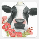 Search for cattle farming stickers Cows
