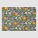 Search for fruit tissue paper Floral