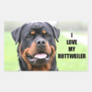 Search for rotti stickers Dog