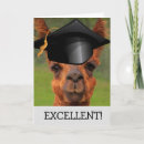 Search for excellent cards Funny