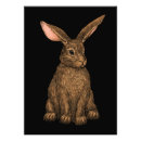 Search for wild forest animals posters Woodland