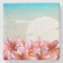 Search for bar scene barware Tropical