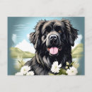 Search for dog and flowers postcards Pet