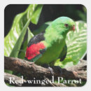 Search for red wings stickers Wildlife