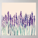 Search for aromatic posters Aromatherapy