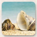 Search for creatures barware Crab
