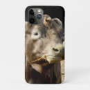 Search for hay iphone cases Cow