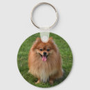 Search for pom dog key rings Cute