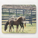 Search for grazing mousepads Brown