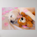 Search for cuddling posters Cuddle