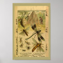 Search for flying insect posters Wasp