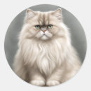 Search for cat breed stickers Feline