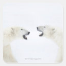 Search for bonding stickers Nature