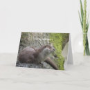 Search for otter cards Humourous