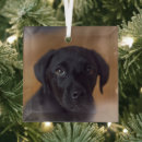 Search for labrador retriever christmas tree decorations Cute