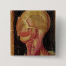 Search for anatomically badges Anatomy