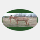 Search for mule stickers Animal