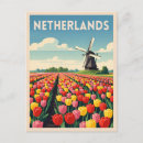 Search for colorful postcards Souvenir