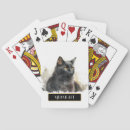 Search for black cat playing cards Adorable