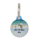 Search for bear pet supplies Polar