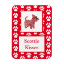 Search for scottie magnets Cute