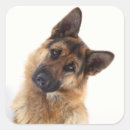 Search for funny german stickers Puppy
