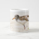 Search for baby chick mugs Beach