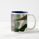 Search for bug pictures mugs Nature