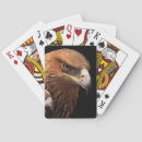 Search for big bird playing cards Animal
