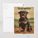Search for rottweiler puppy postcards Rottie