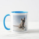 Search for purebred mugs Canine