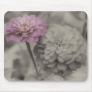 Search for close ups mousepads For her