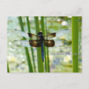 Search for blue pond postcards Nature