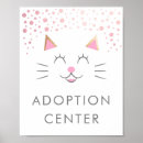 Search for adopted cat Kitty