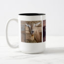 Search for barnyard mugs Goats
