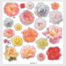 Search for lavender rose stickers Pink