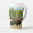 Search for yellowstone buffalo mugs Buffaloes