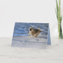 Search for alsatian cards Canine