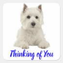 Search for westie dog stickers Puppy