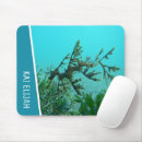 Search for leafy mousepads Leafy sea dragon