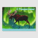 Search for moose christmas cards Nature