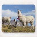 Search for andes mousepads Argentina