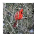 Search for cardinal tiles Red