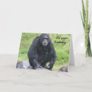 Search for monkey around cards Chimpanzee