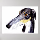 Search for greyhound posters Lurcher