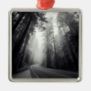 Search for sequoia national park christmas tree decorations Nature