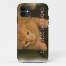 Search for overload Animal