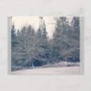 Search for winter white postcards Trees