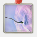 Search for fertility christmas tree decorations Human